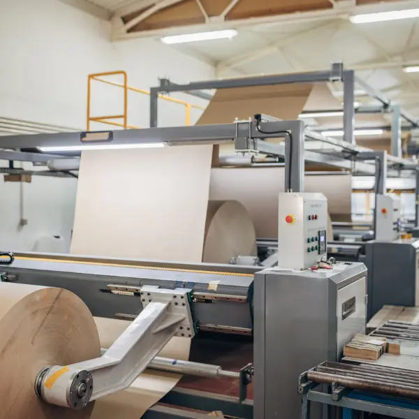 The critical role of linear motion solutions in industrial machinery