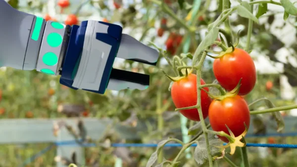 Robotic systems used in vertical farms and greenhouses Linear motion solutions for AGVs & AMRs in vertical farming and greenhouses