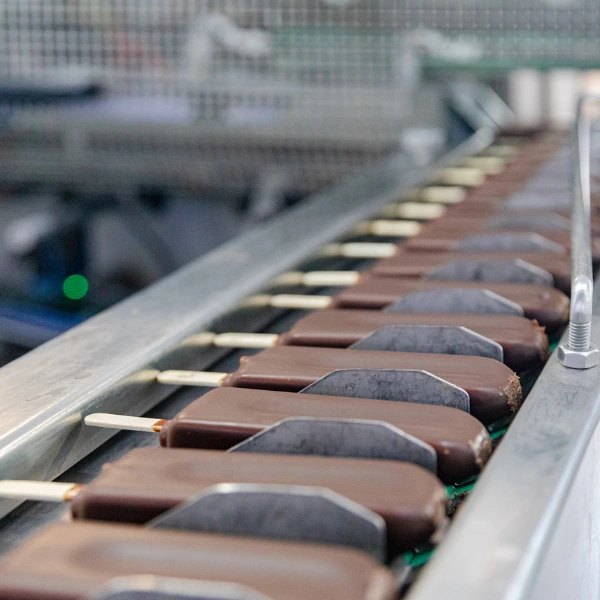 Soluzioni lineari per il food processing