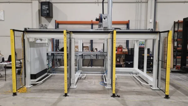 Dexis palletizadores Pallettizzatori cartesiani per il packaging con assi Rollon