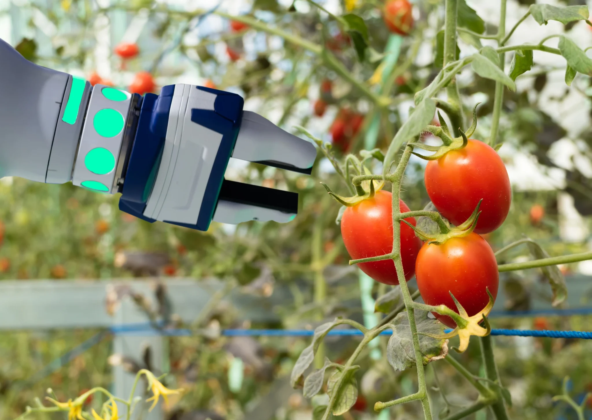 iStock-905416856 Linear motion solutions for AGVs & AMRs in vertical farming and greenhouses